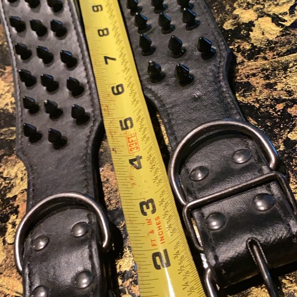 Titanium Spiked Dog Collar 24” - Picture 3 of 4